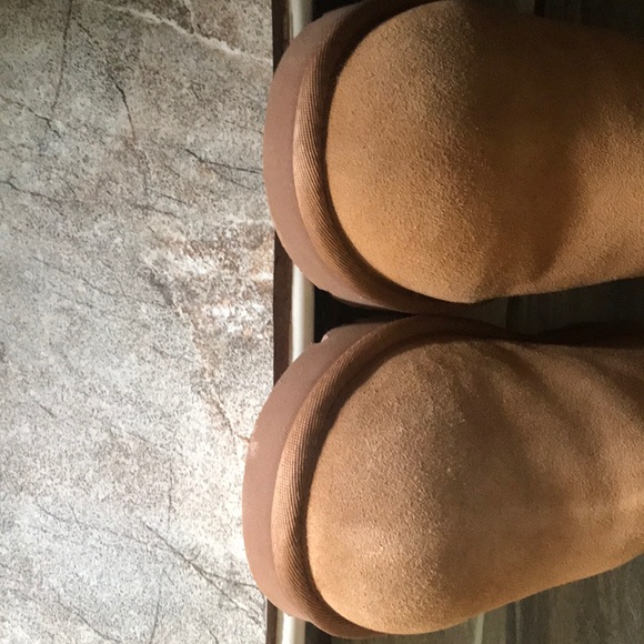 UggCambridge - Picture 8 of 8